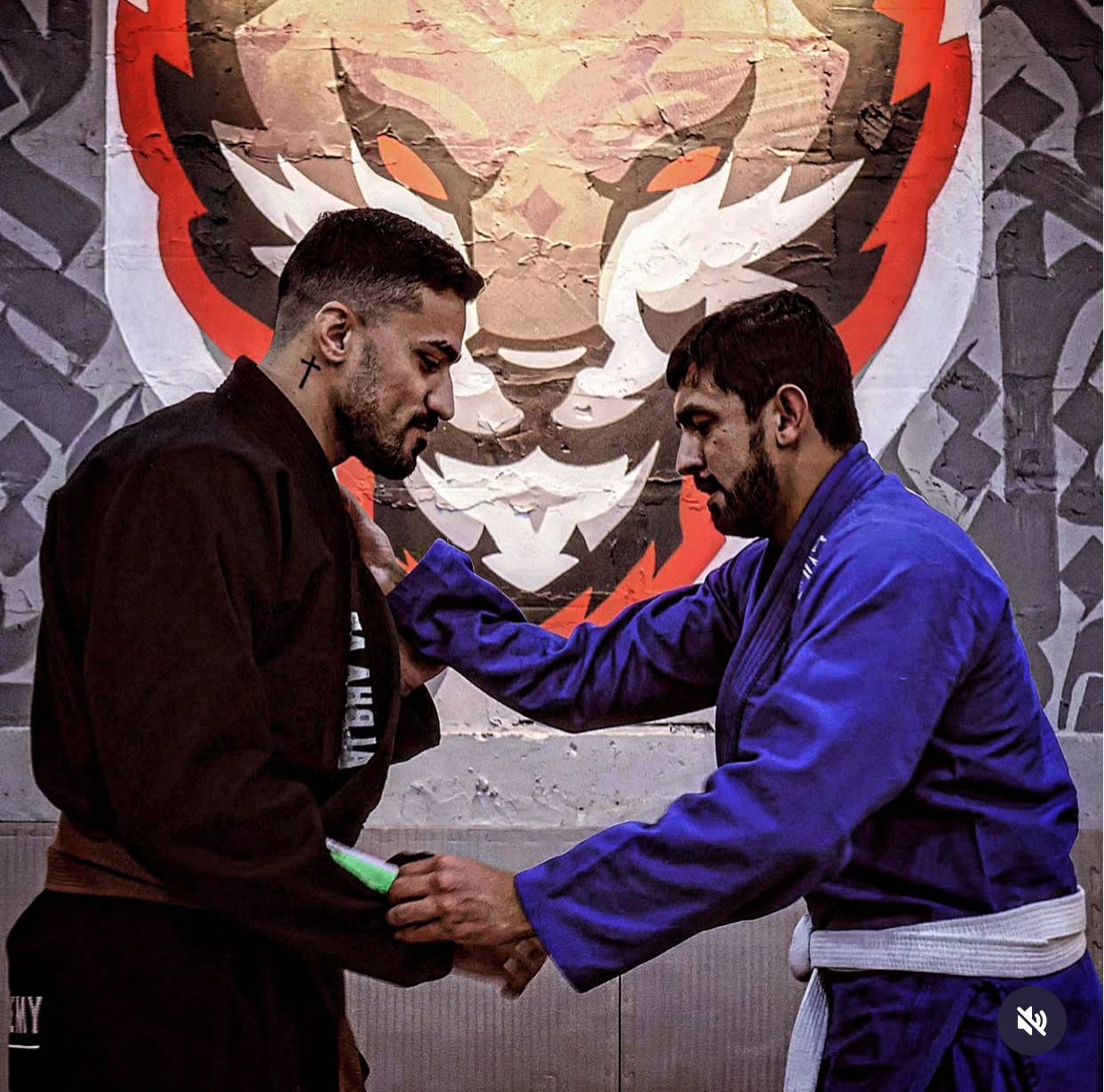 Jiu-Jitsu Training